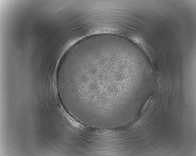 X0000063461072200601231412