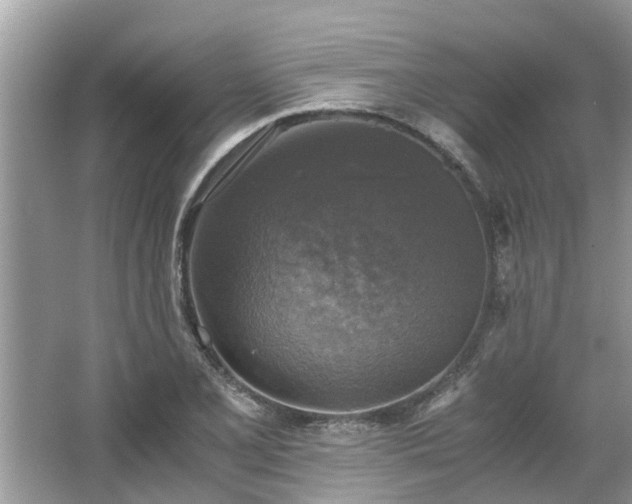 X0000063461077200601231412