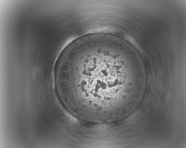 X0000063461079200601231412