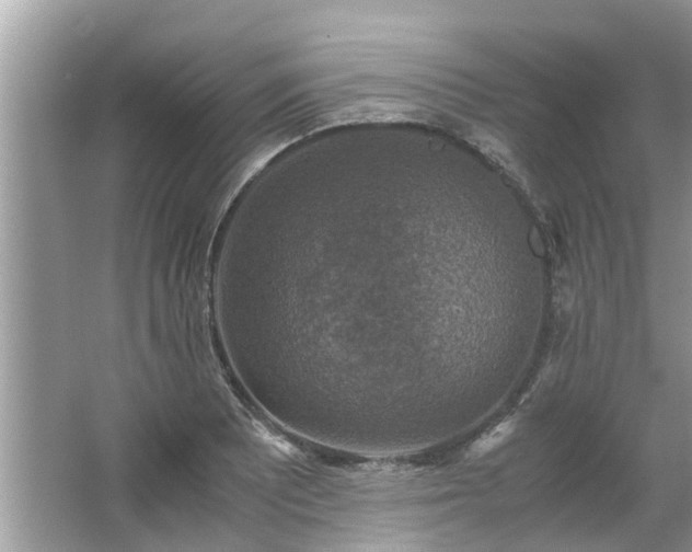 X0000063461081200601231412