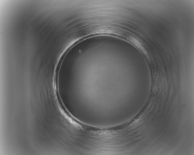 X0000063461084200601231412