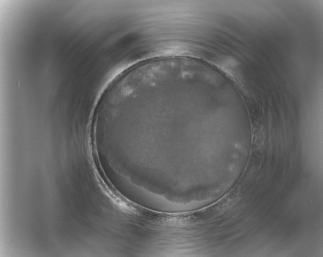 X0000063461086200601231412