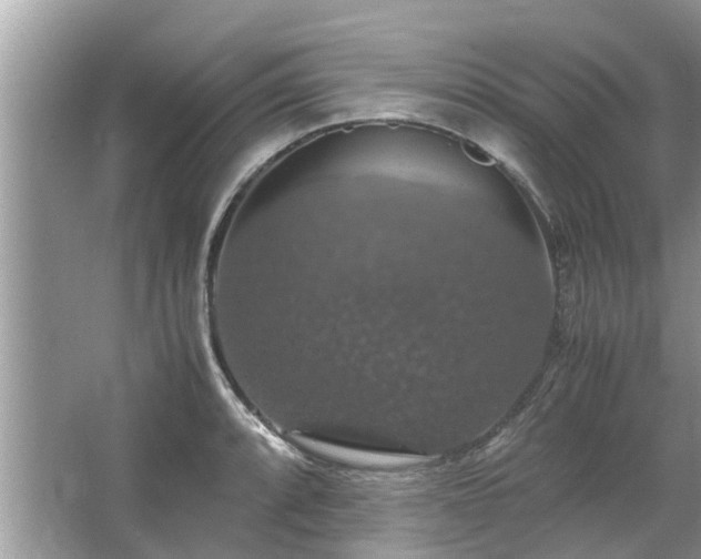 X0000063461088200601231412