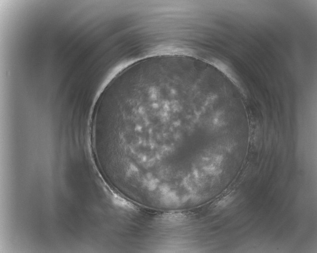 X0000063461094200601231412