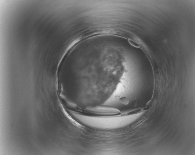 X0000063461095200601231412