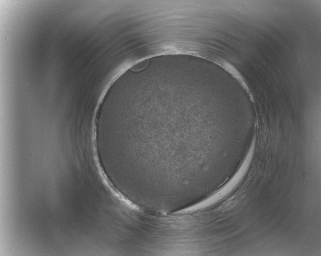 X0000063461096200601231412