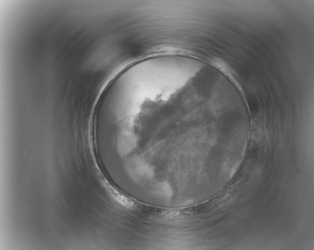 X0000063461098200601231412