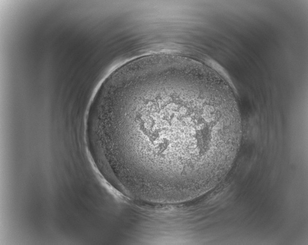 X0000063461099200601231412