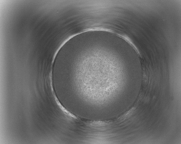 X0000063461100200601231412