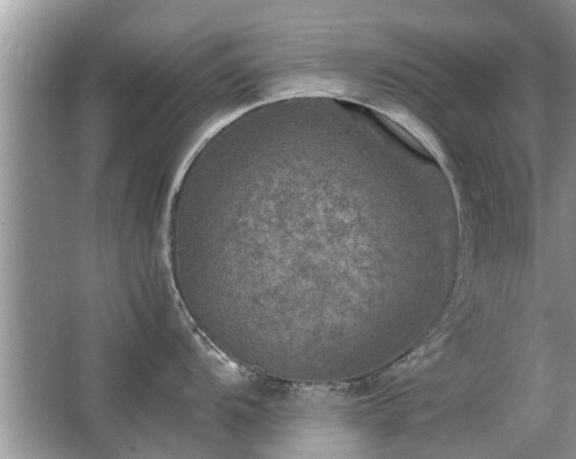 X0000063461104200601231411