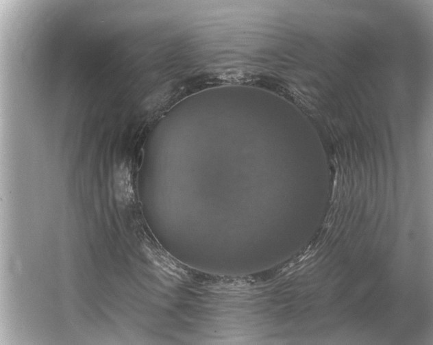 X0000063461106200601231411