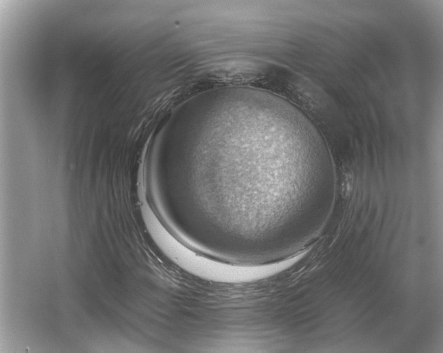 X0000063461108200601231411