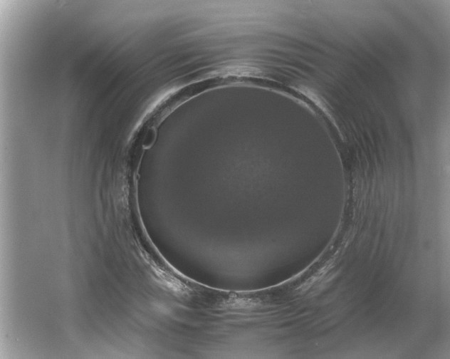 X0000063461115200601231411