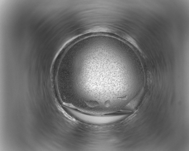 X0000063461116200601231411