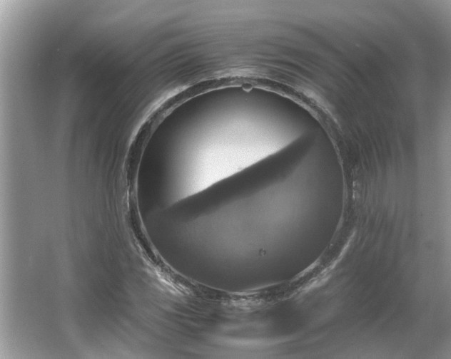 X0000063461117200601231411