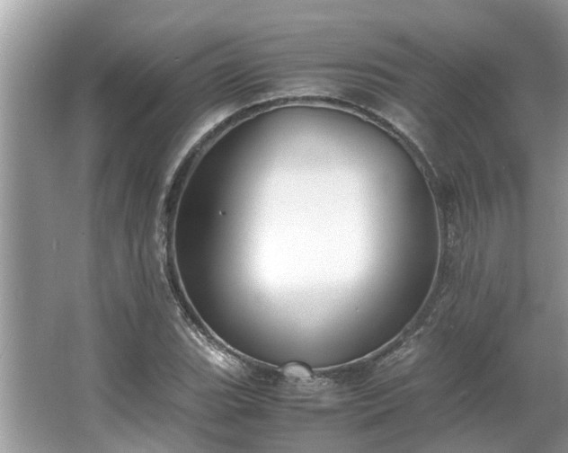 X0000063461119200601231411