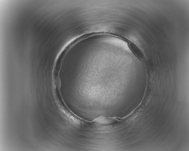 X0000063461120200601231411