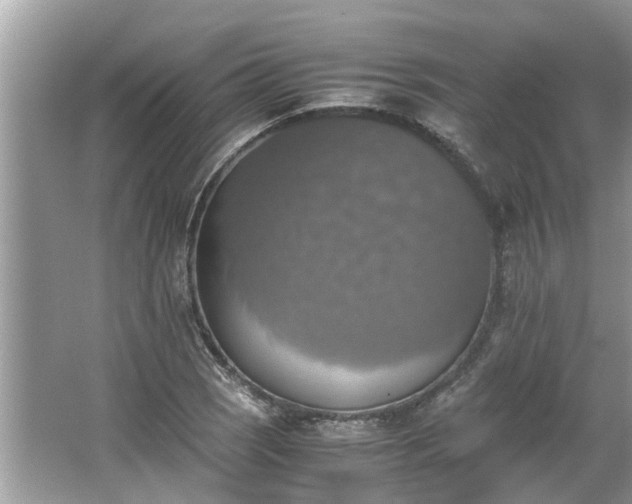 X0000063461121200601231411