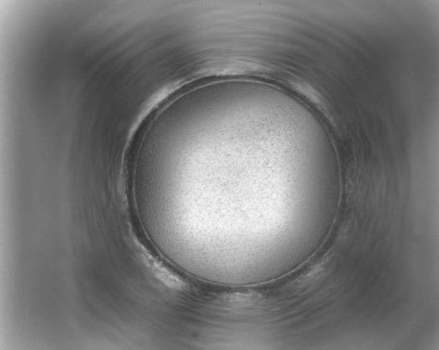 X0000063461122200601231411