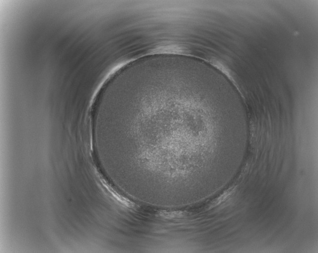 X0000063461123200601231411