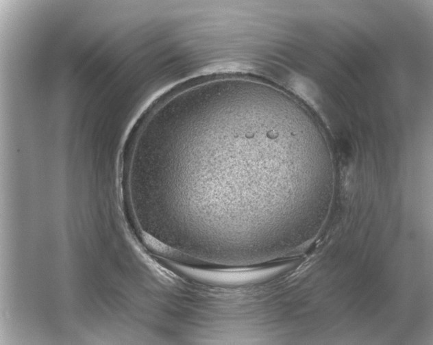 X0000063461124200601231411