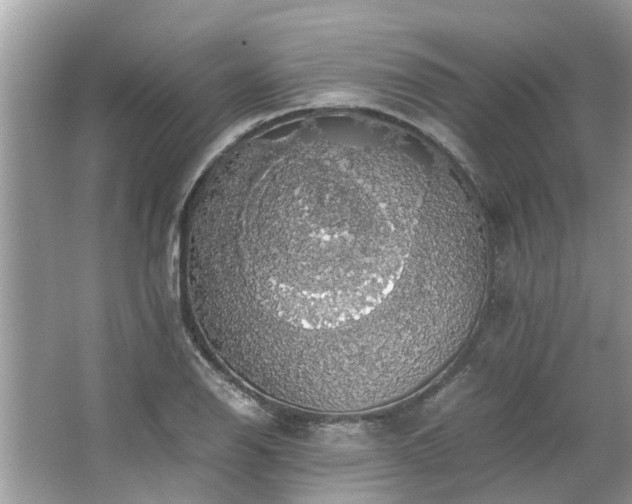 X0000063461126200601231411