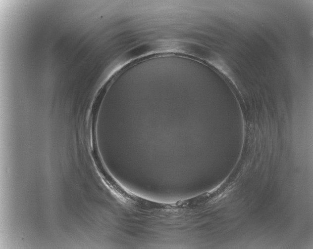 X0000063461127200601231411