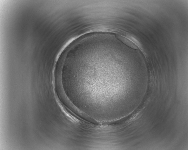 X0000063461128200601231411