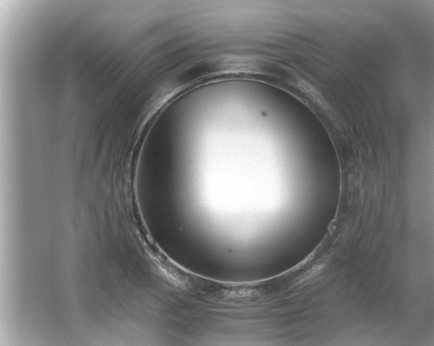 X0000063461129200601231411