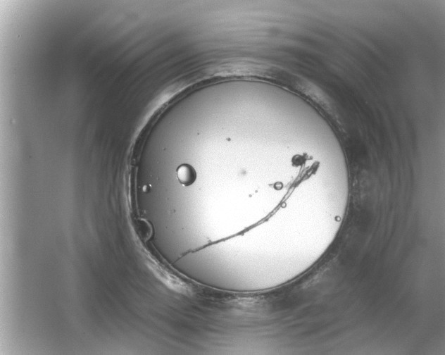 X0000063461130200601231411