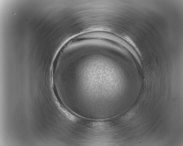 X0000063461132200601231411