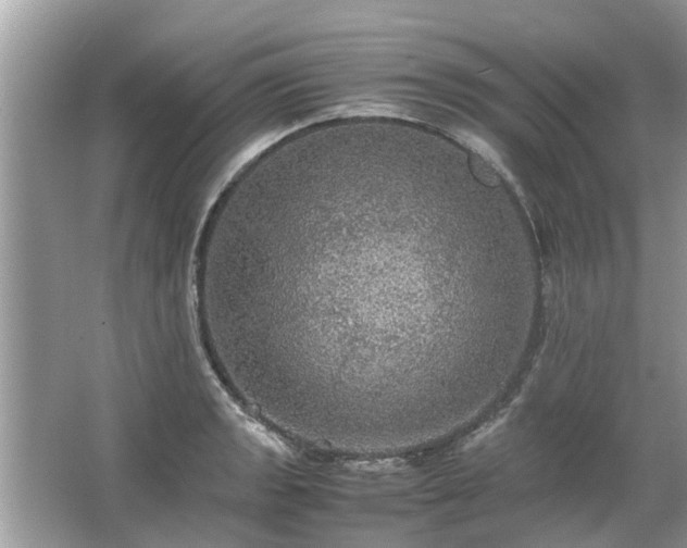 X0000063461133200601231411