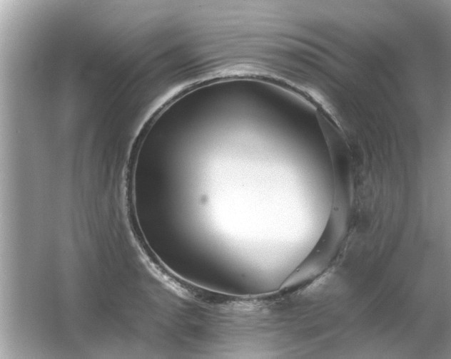 X0000063461134200601231411