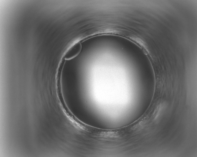 X0000063461135200601231411