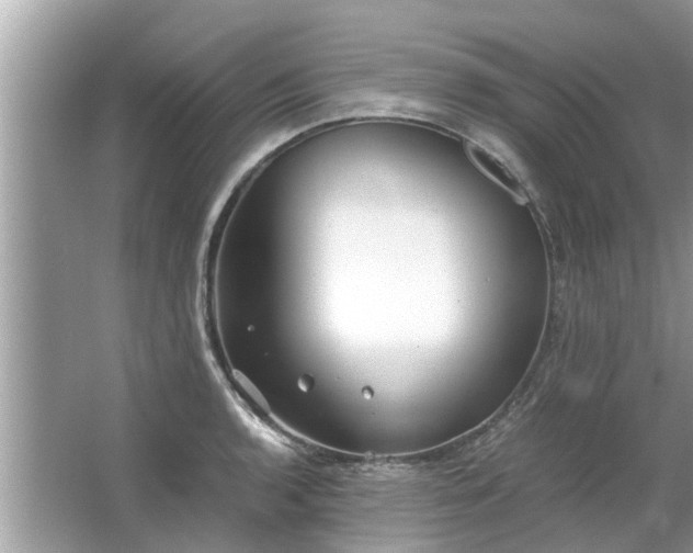 X0000063461136200601231411