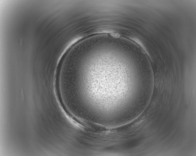 X0000063461139200601231411