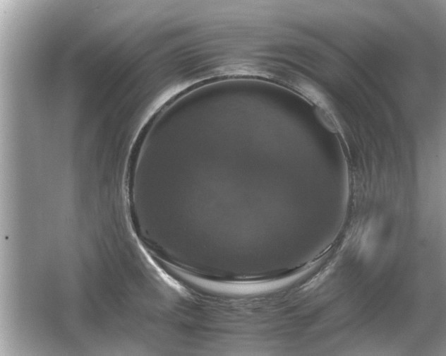 X0000063461141200601231411