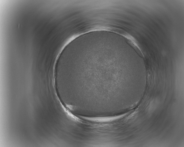 X0000063461143200601231411