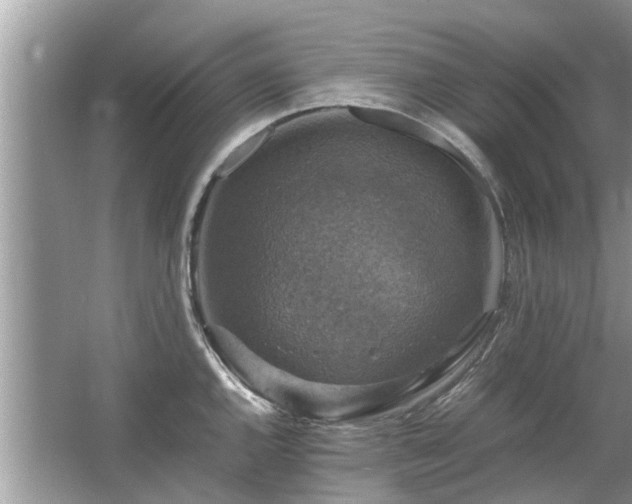 X0000063461144200601231411