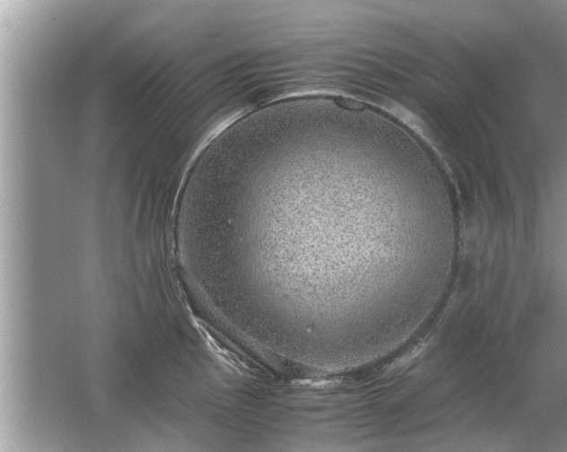 X0000063461145200601231411