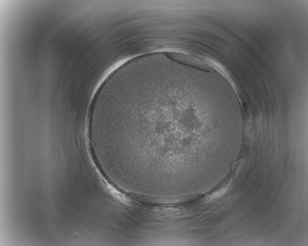 X0000063461149200601231411