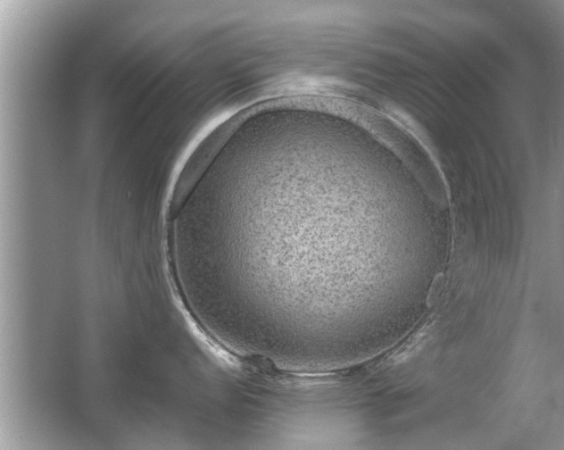 X0000063461152200601231411