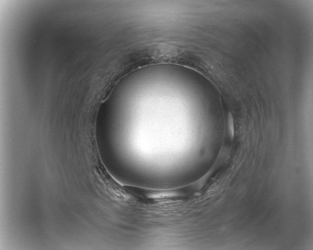 X0000063461153200601231411