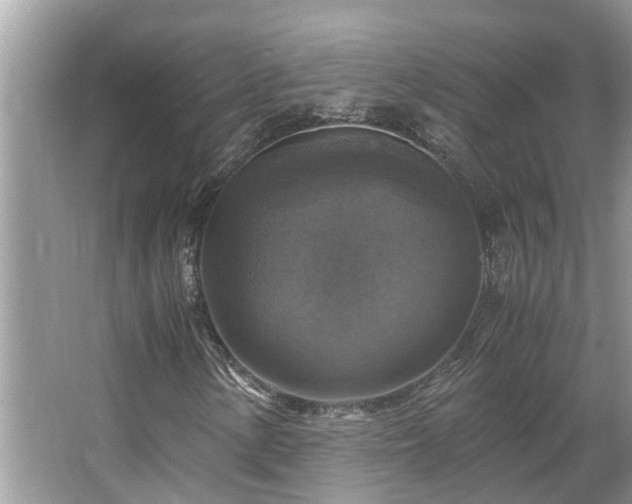 X0000063461154200601231411