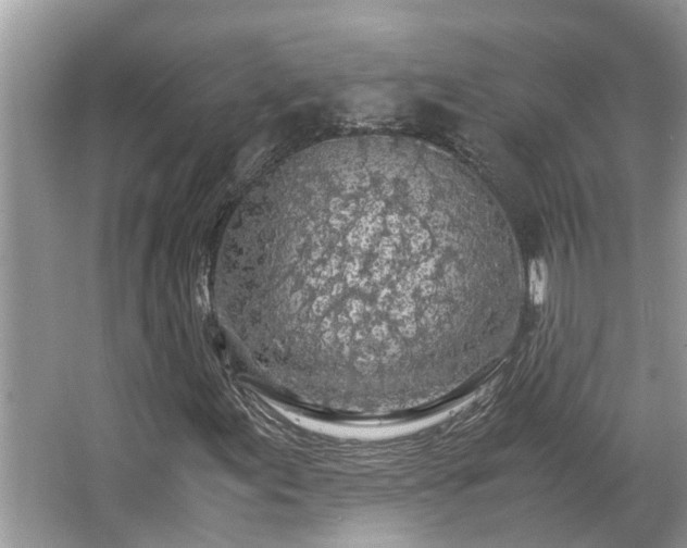 X0000063461155200601231411