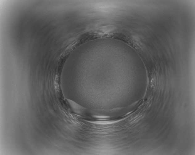 X0000063461156200601231411