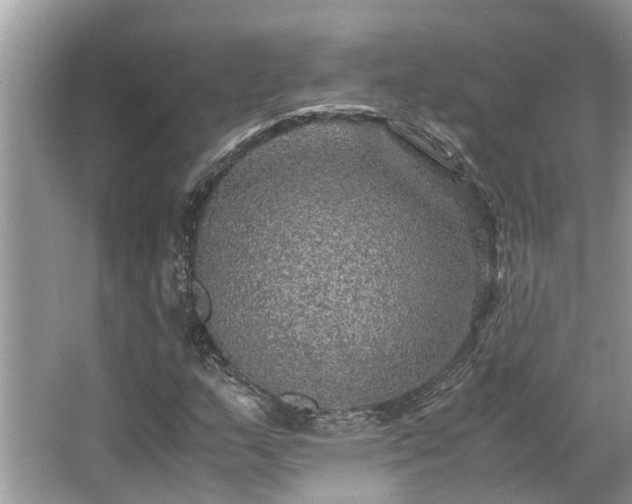 X0000063461159200601231411