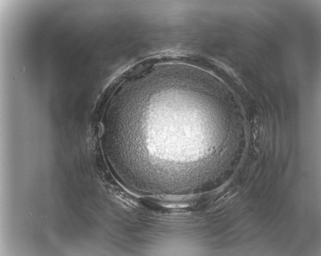 X0000063461160200601231410