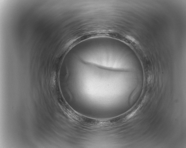 X0000063461161200601231410