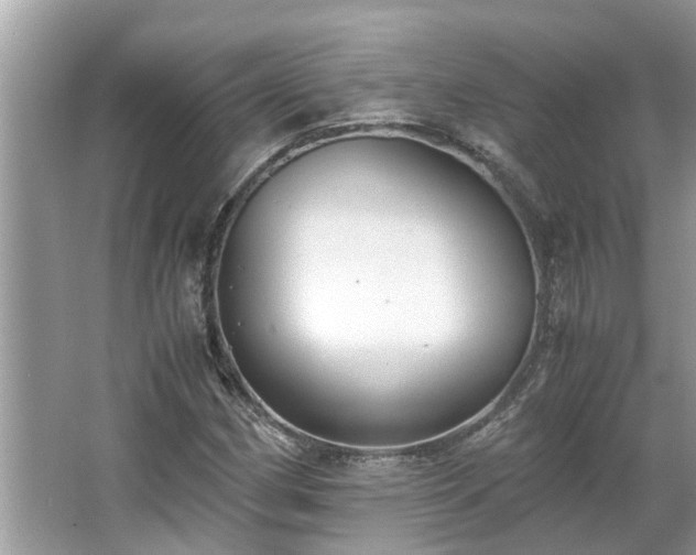 X0000063461162200601231410